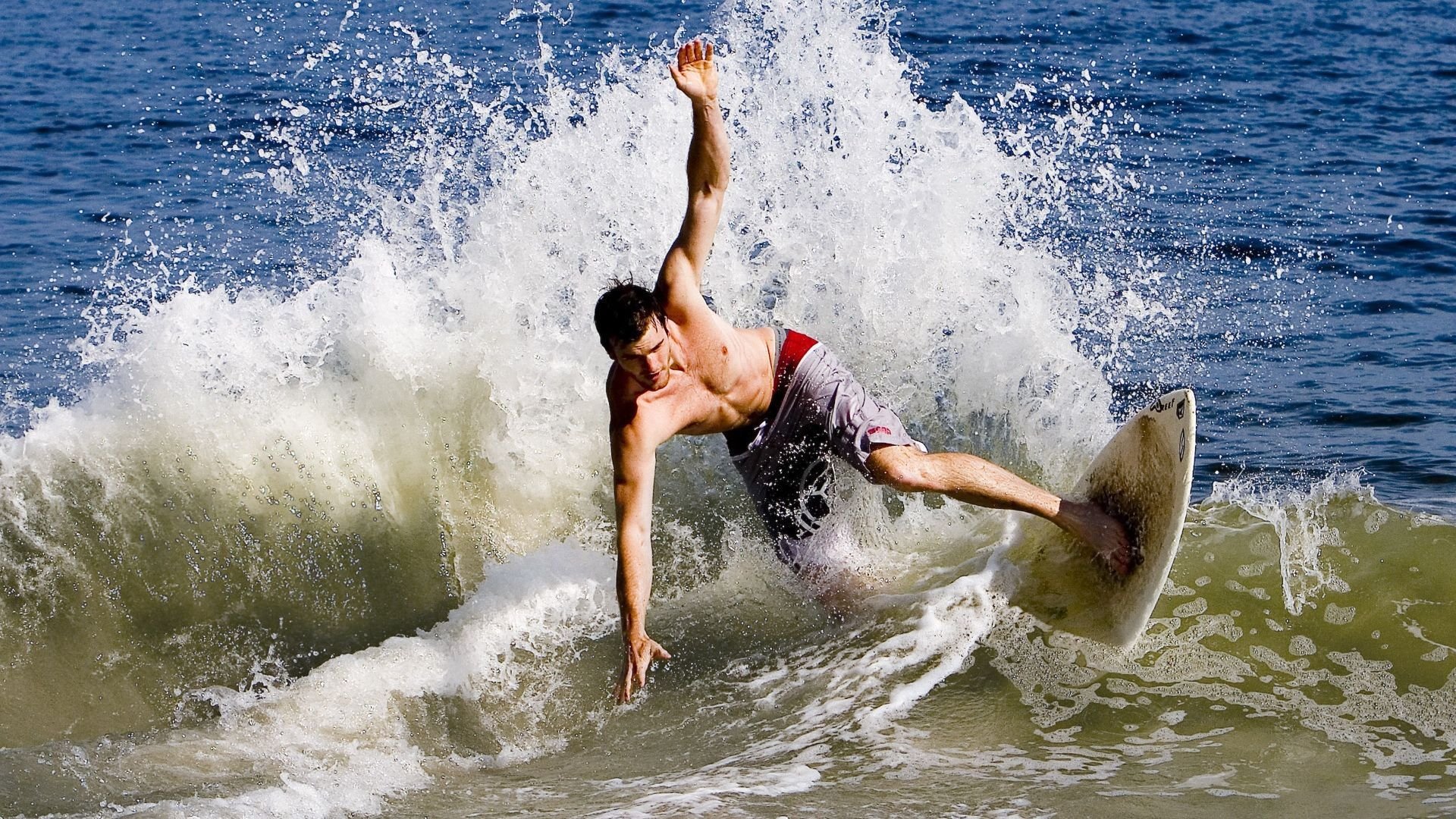 区块链文件处理，将交易公平和透明推进到新高度，区块链中的dao